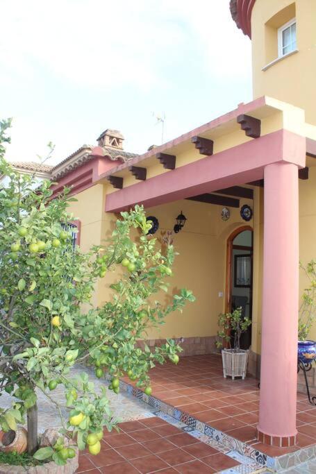 Casa 4 Dormitorios En アヤモンテ エクステリア 写真